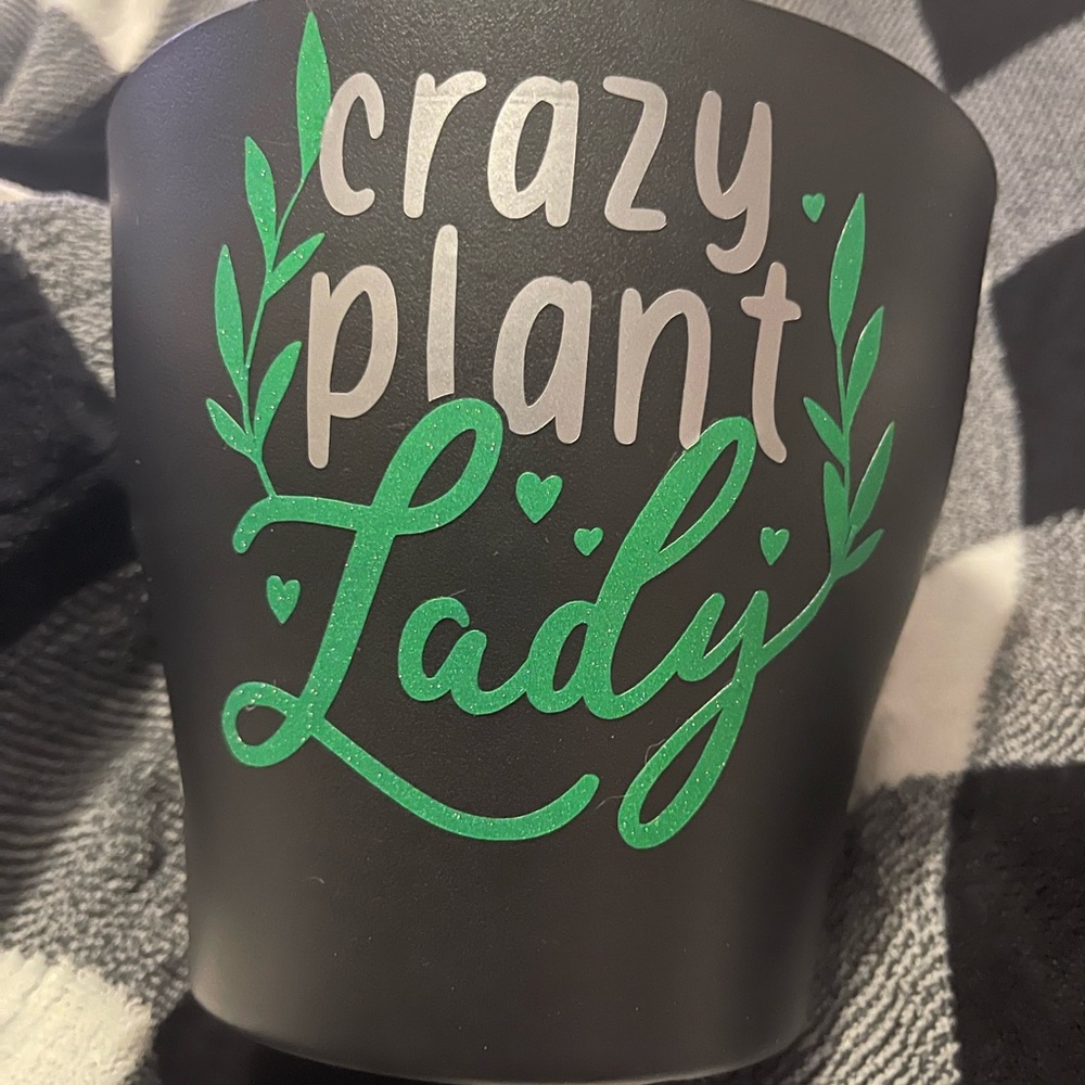 Crazy Plant Lady 4 or 6inch Plant Pot